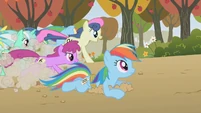2 versions of Rainbow Dash S01E13