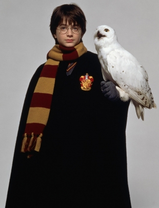 PromoHP1_Harry_Potter_Hedwige.jpg