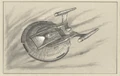 Enterprise NX-01 drawing, United.jpg