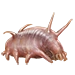 Item seapig 01