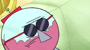 Benson sglasses