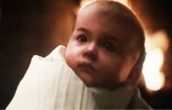 Breaking-dawn-imprinting-scene