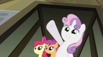 CMC just in time S2E23