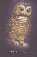 Otulissainbook