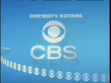 Cbs2005