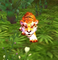 AmurTigerCub
