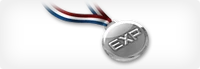 Expmedalsilver.png