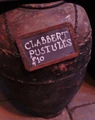 ClabbertPustules.jpg