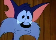 FurrballTears