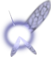Navi.png