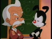 Yakko-and-Einstien-yakko-warner-15822909-480-360