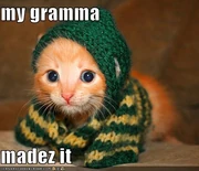 Od4sIPUd0bybwwemo9UeHl5c 500