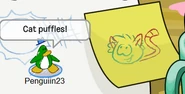 Cat Puffles 1