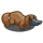 Platypus-icon.png