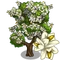 Carolina Silverbell Tree-icon