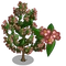Mountain Silverbell Tree-icon