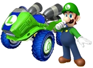 Luigi MK9