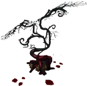 Bloodwood tree