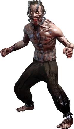 Brawler