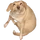 PI Kratos2144 dog