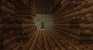 Deepcore 11