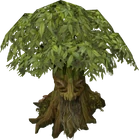 Spirit tree