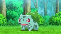 Ash Bulbasaur