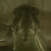 Xindi-Aquatic