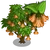 Angel Trumpet Tree-icon