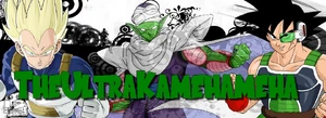 TheUltraKamehamehaBanner2