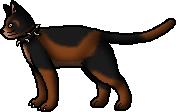Snipe.rogue.png
