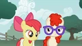 Apple Bloom clueless moment S1E12.png