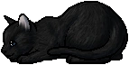 Crowfeather.kit