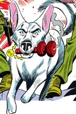 Pooch 001