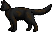 Jag.rogue