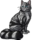 Feathertail.warrior