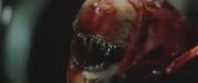 180px-Dvdcapture016.jpg