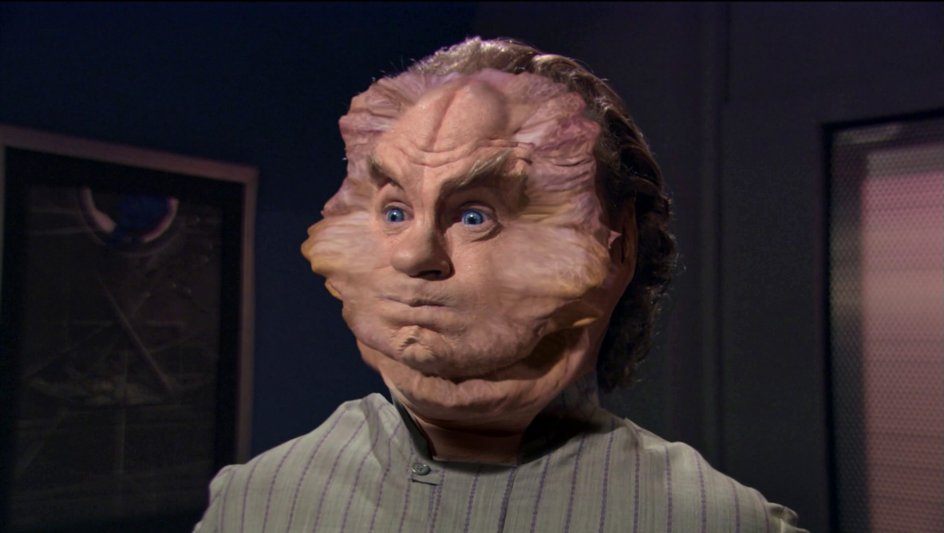 Phlox_face.jpg