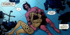 Cheetah 012