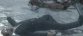 V-R11 Victim BO