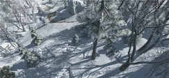 Assassins-Creed-III-Snow-02