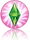 Sp6 icon