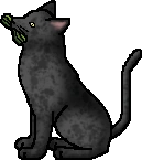 Hawkheart.mc.alt