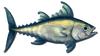 Fish 7
