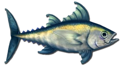 Fish 7