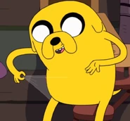 Jake's pants
