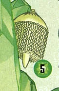 AR-N-O-Q 001