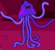 Jellyfish