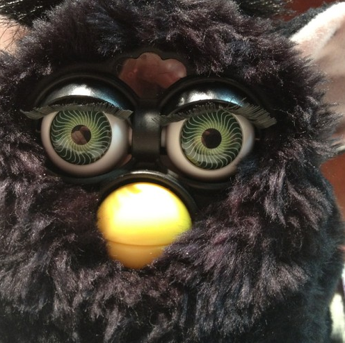 black 2012 furby