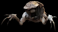 Gow-3-wild-ticker.jpg